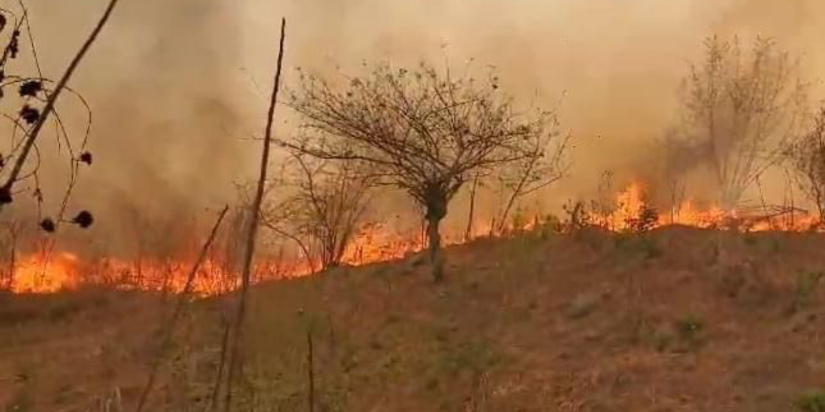 Evac An Habitantes De San Pedro Pochutla Oaxaca Por Incendio Forestal