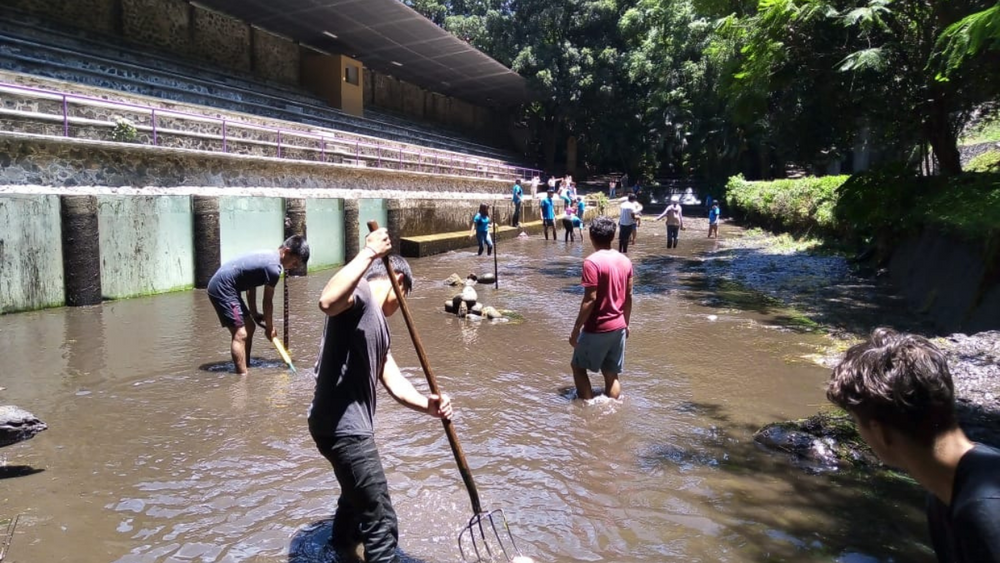 Retiran Vegetaci N Acu Tica Ex Tica Del Parque Barranca Chapultepec