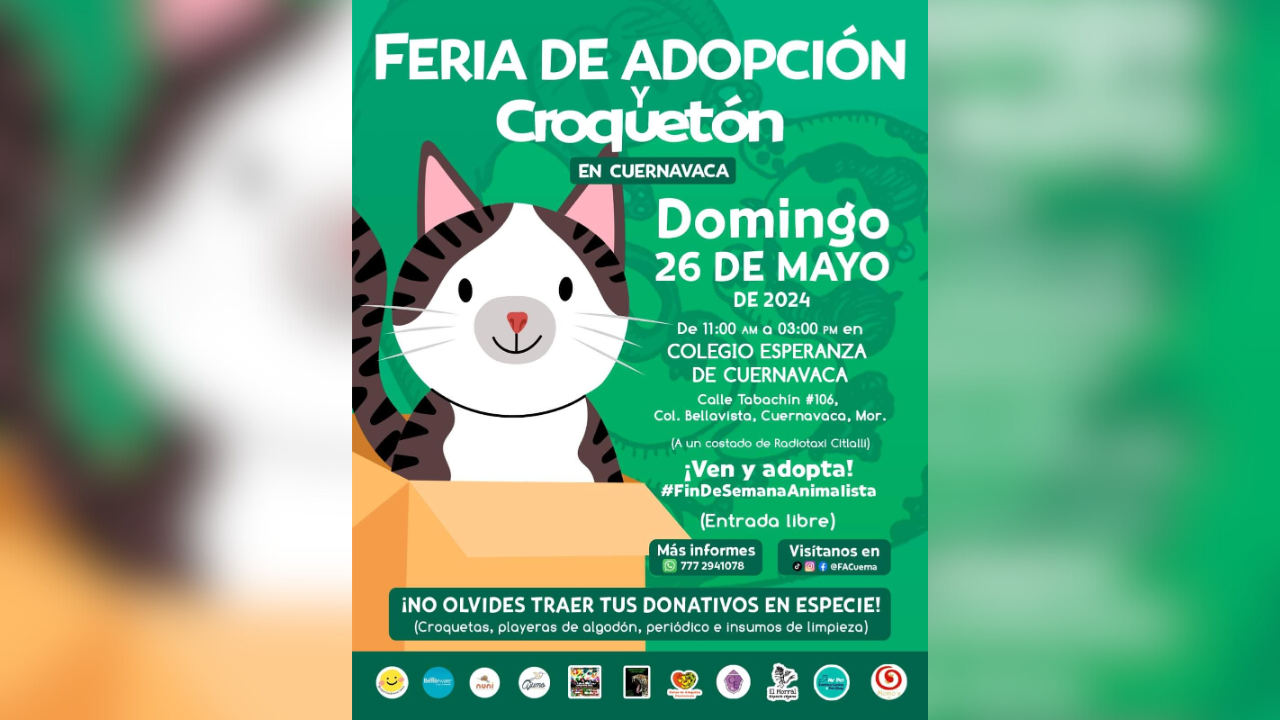 Ta Jornada De Adopciones Croquet N En Cuernavaca