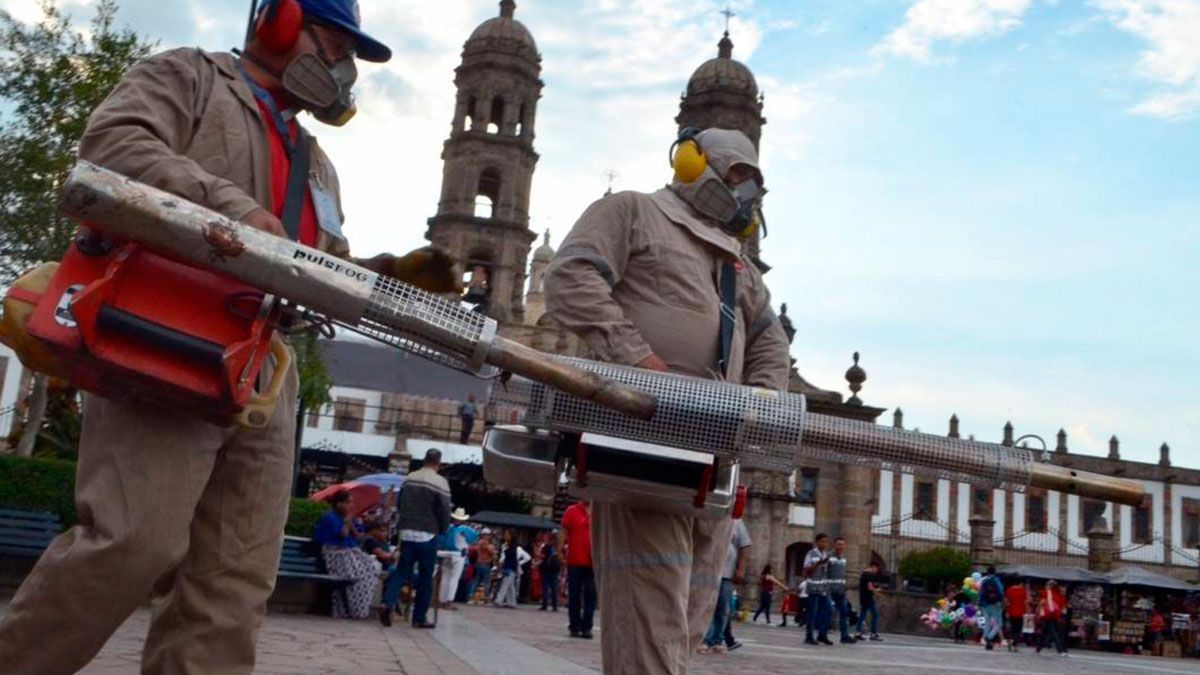 Jalisco Primer Lugar Nacional En Muerte Por Dengue Morelos