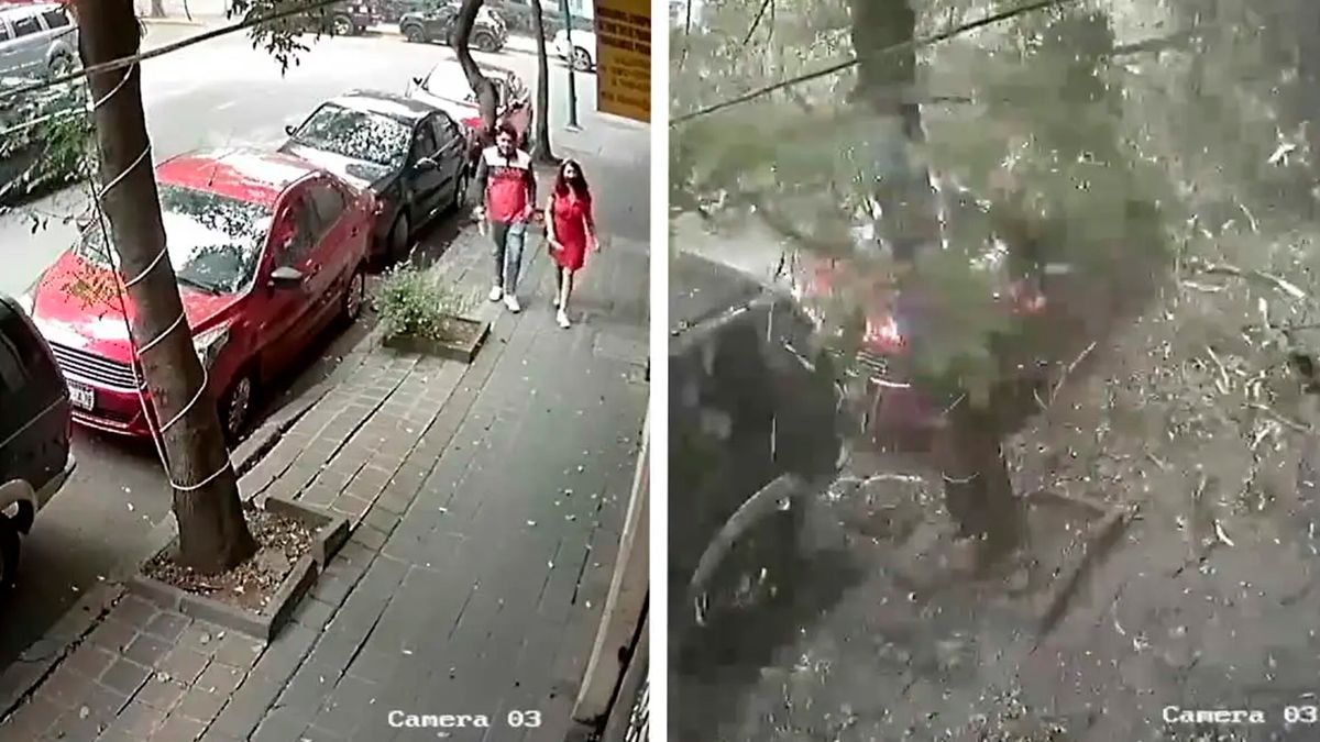 Pareja se salva de ser aplastada por un árbol en CDMX 24 Morelos