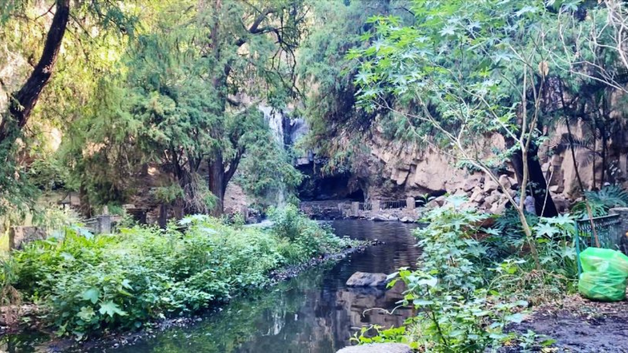 Colectivos de Morelos limpian la cascada del Salto en Cuernavaca