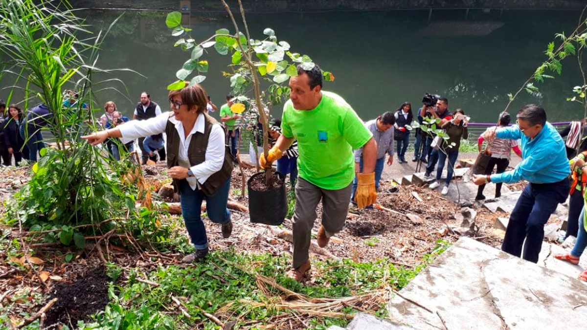 Reforestan con árboles nativos el Parque Chapultepec de Cuernavaca - 24  Morelos